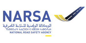 narsa (1)